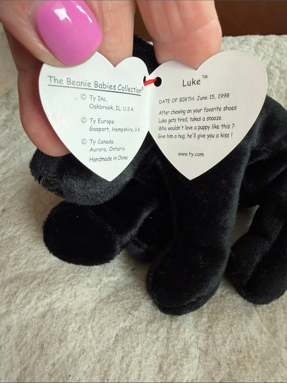 Ty Beanie Baby Nwt Black Plush Lab Luke